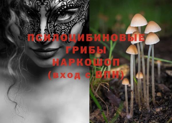 прущие крисы Баксан